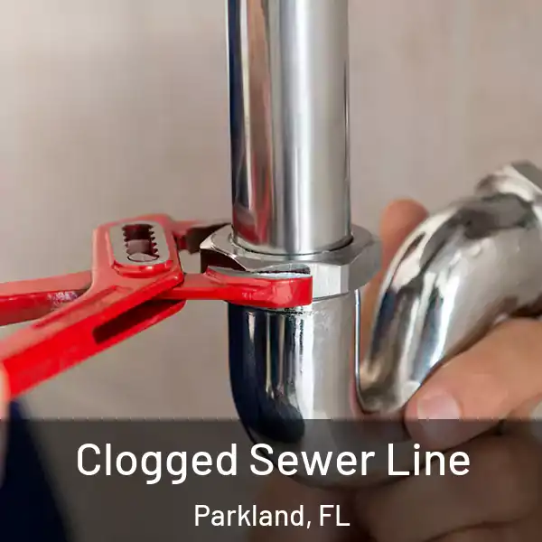  Clogged Sewer Line Parkland, FL