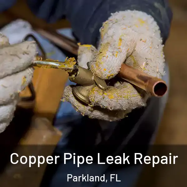  Copper Pipe Leak Repair Parkland, FL