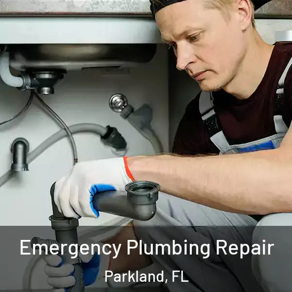  Emergency Plumbing Repair Parkland, FL