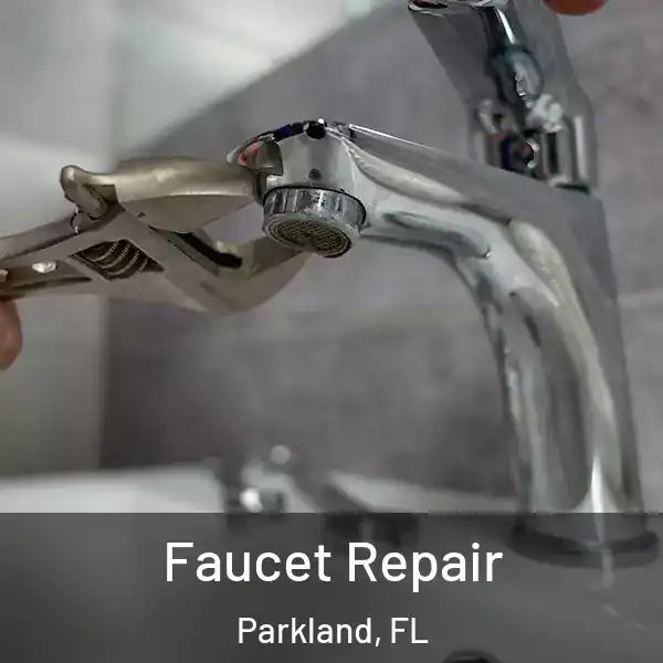  Faucet Repair Parkland, FL