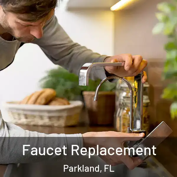  Faucet Replacement Parkland, FL