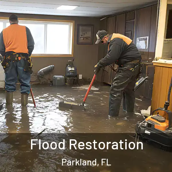  Flood Restoration Parkland, FL