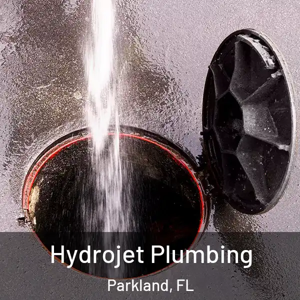  Hydrojet Plumbing Parkland, FL