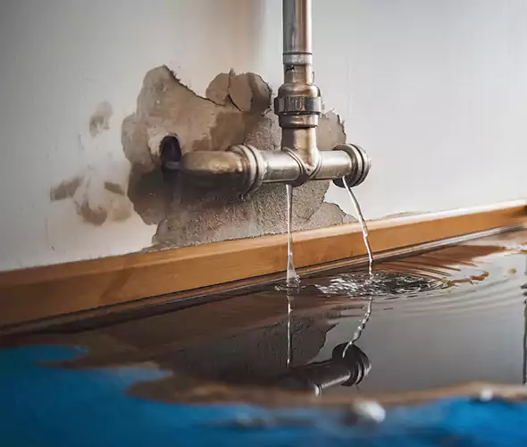 Professional Water Damage Restoration Experts in Parkland, FL — Fast, Reliable & Certified