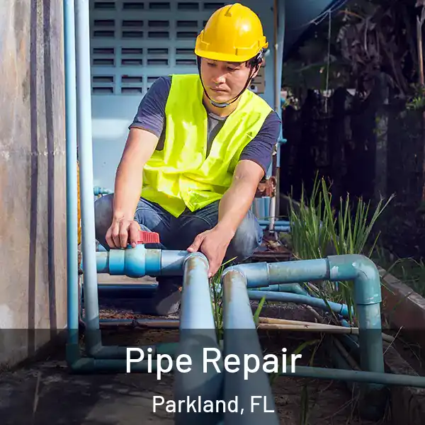  Pipe Repair Parkland, FL