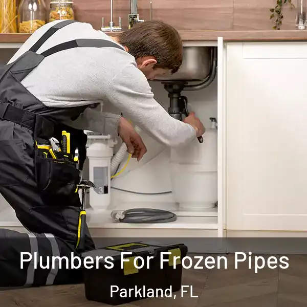  Plumbers For Frozen Pipes Parkland, FL