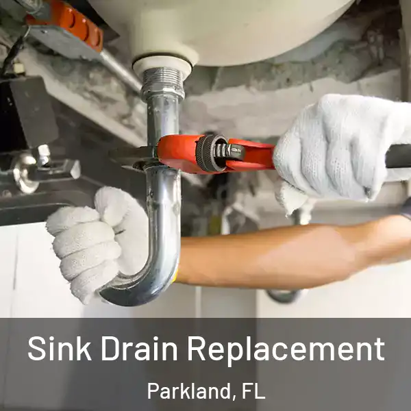  Sink Drain Replacement Parkland, FL