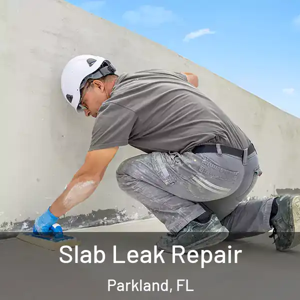  Slab Leak Repair Parkland, FL