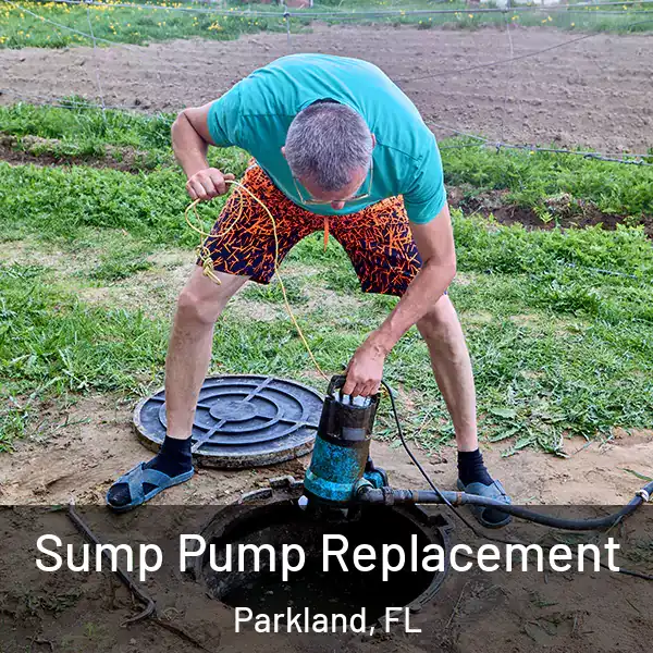  Sump Pump Replacement Parkland, FL