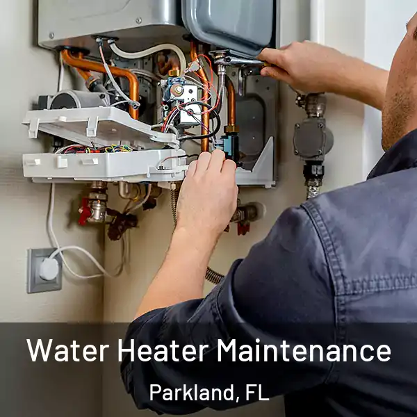  Water Heater Maintenance Parkland, FL