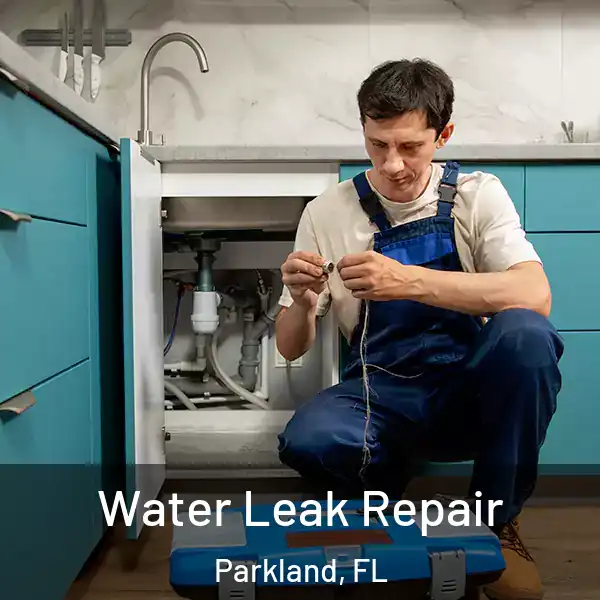  Water Leak Repair Parkland, FL