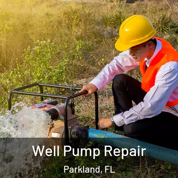  Well Pump Repair Parkland, FL